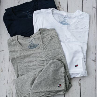Meeste Tommy Hilfiger t-särk
