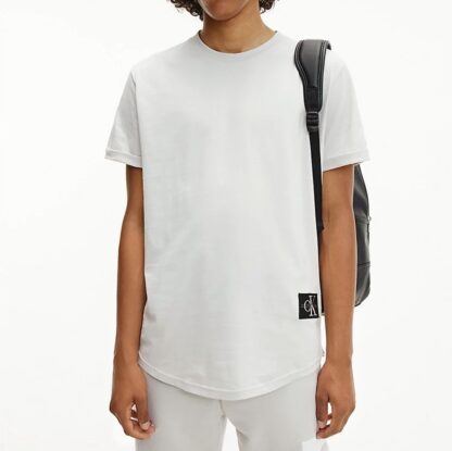 Meeste Calvin Klein t-särk (valge, kollane, hall, helehall) - Image 8