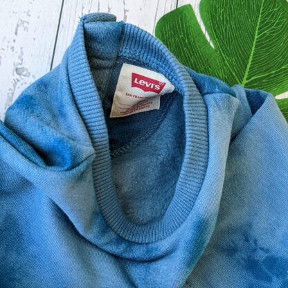 Laste Levi's komplekt dressipüksid + pusa fliisvoodriga - Image 2