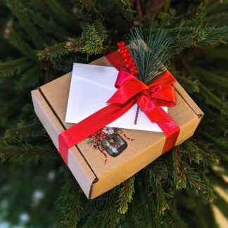 Christmas Gift Wrap 🎄 (Jõulupakend)